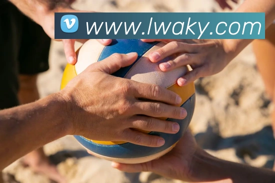 多媒体互动体验